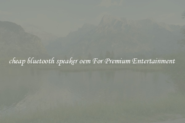 cheap bluetooth speaker oem For Premium Entertainment 