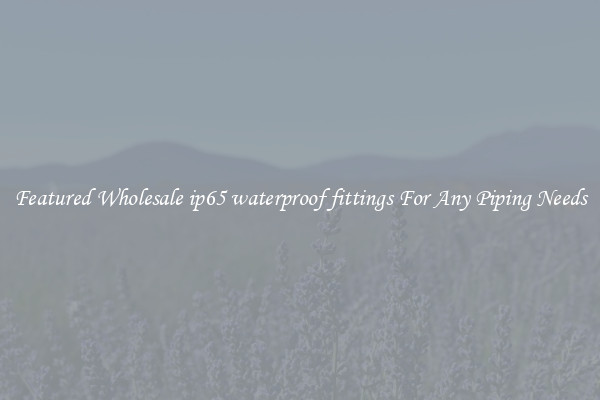 Featured Wholesale ip65 waterproof fittings For Any Piping Needs