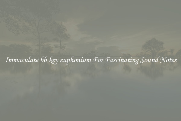 Immaculate bb key euphonium For Fascinating Sound Notes