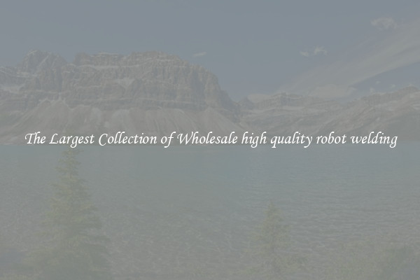 The Largest Collection of Wholesale high quality robot welding