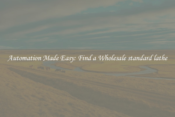  Automation Made Easy: Find a Wholesale standard lathe 