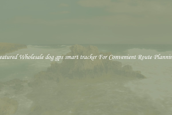 Featured Wholesale dog gps smart tracker For Convenient Route Planning 