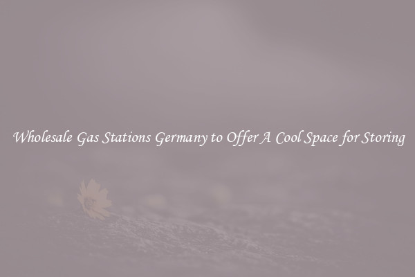 Wholesale Gas Stations Germany to Offer A Cool Space for Storing