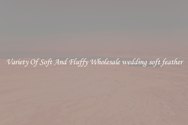 Variety Of Soft And Fluffy Wholesale wedding soft feather