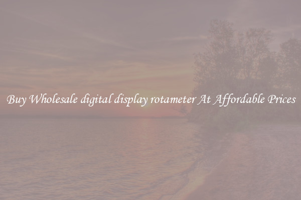 Buy Wholesale digital display rotameter At Affordable Prices