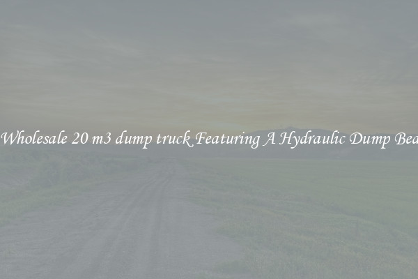 Wholesale 20 m3 dump truck Featuring A Hydraulic Dump Bed