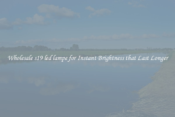Wholesale s19 led lampe for Instant Brightness that Last Longer