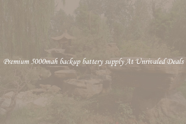 Premium 5000mah backup battery supply At Unrivaled Deals