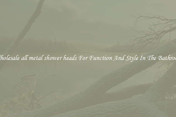 Wholesale all metal shower heads For Function And Style In The Bathroom