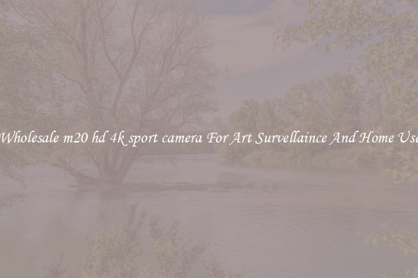 Wholesale m20 hd 4k sport camera For Art Survellaince And Home Use